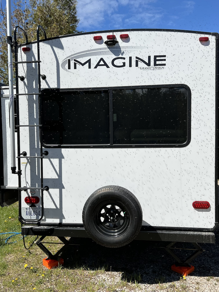 Midge flies on my trailer