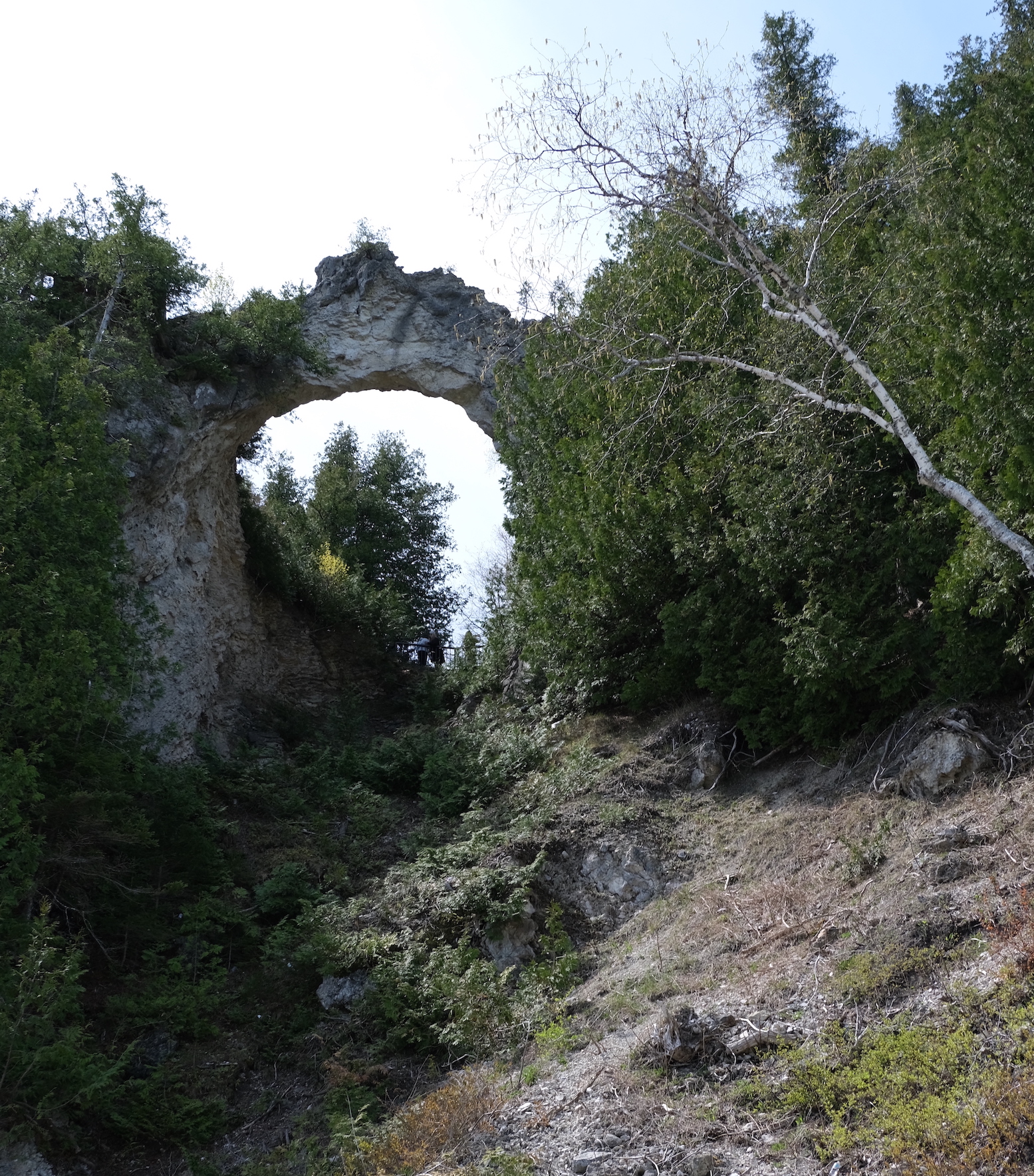 Arch Rock from the bottom