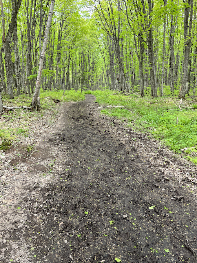 Muddy spot on the trail