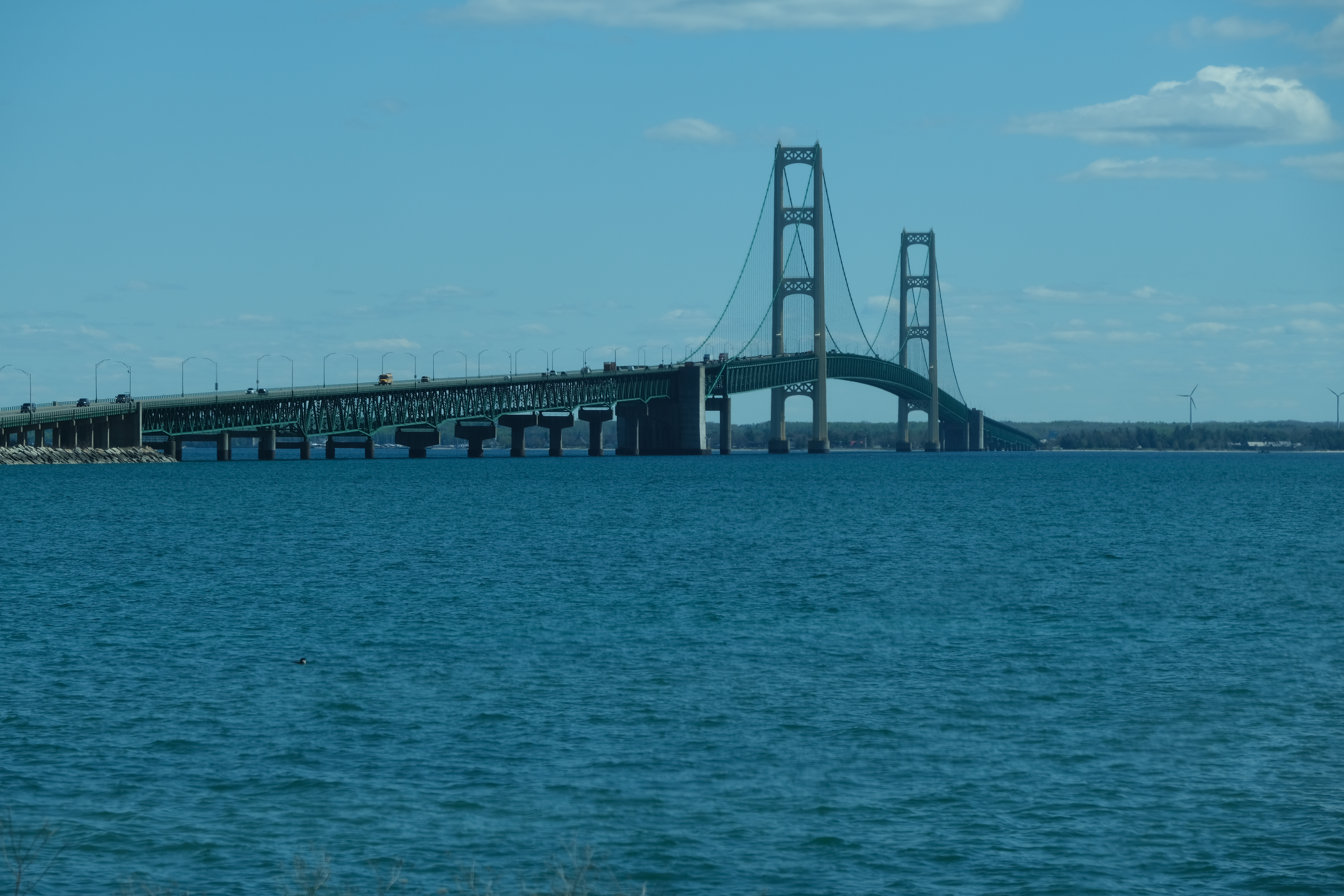 Mackinac Bridge from Bridge View Park