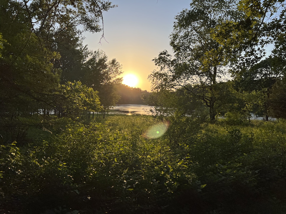 Lebanon Hills Campground Trail