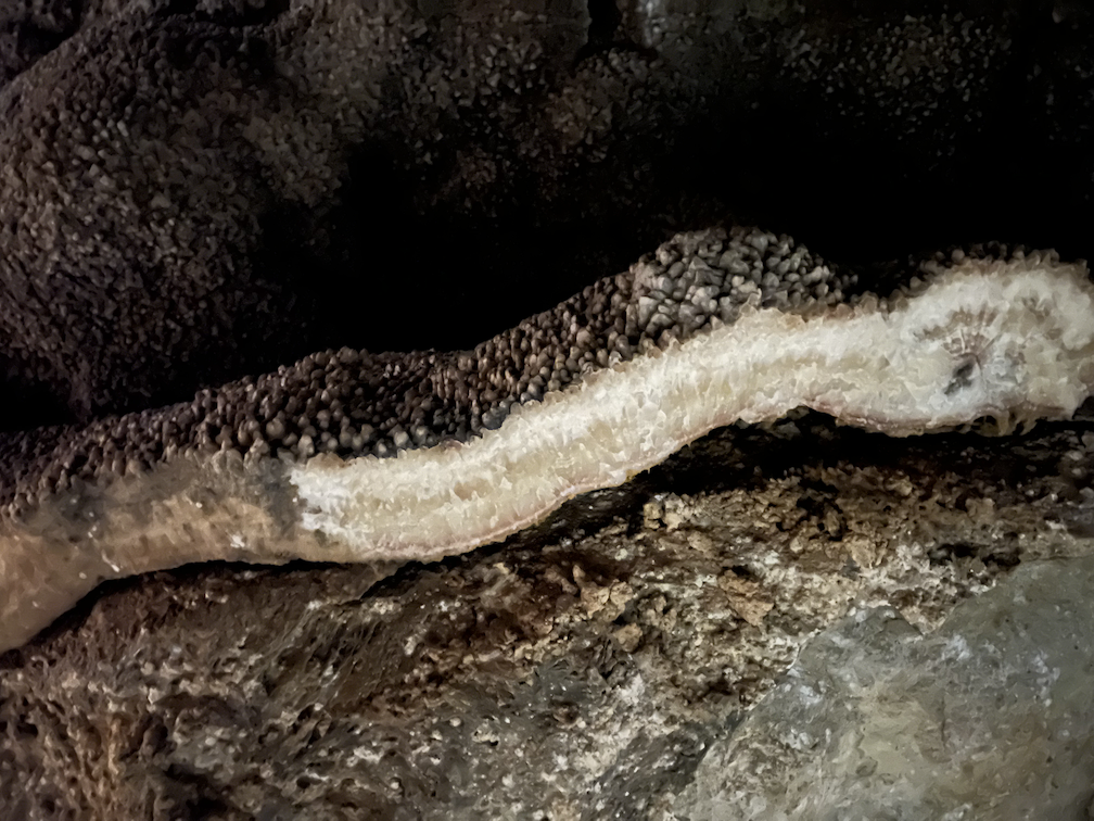 Crystals in Jewel Cave