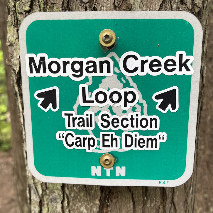 Carp Eh Diem Section of the Morgan Creek Loop