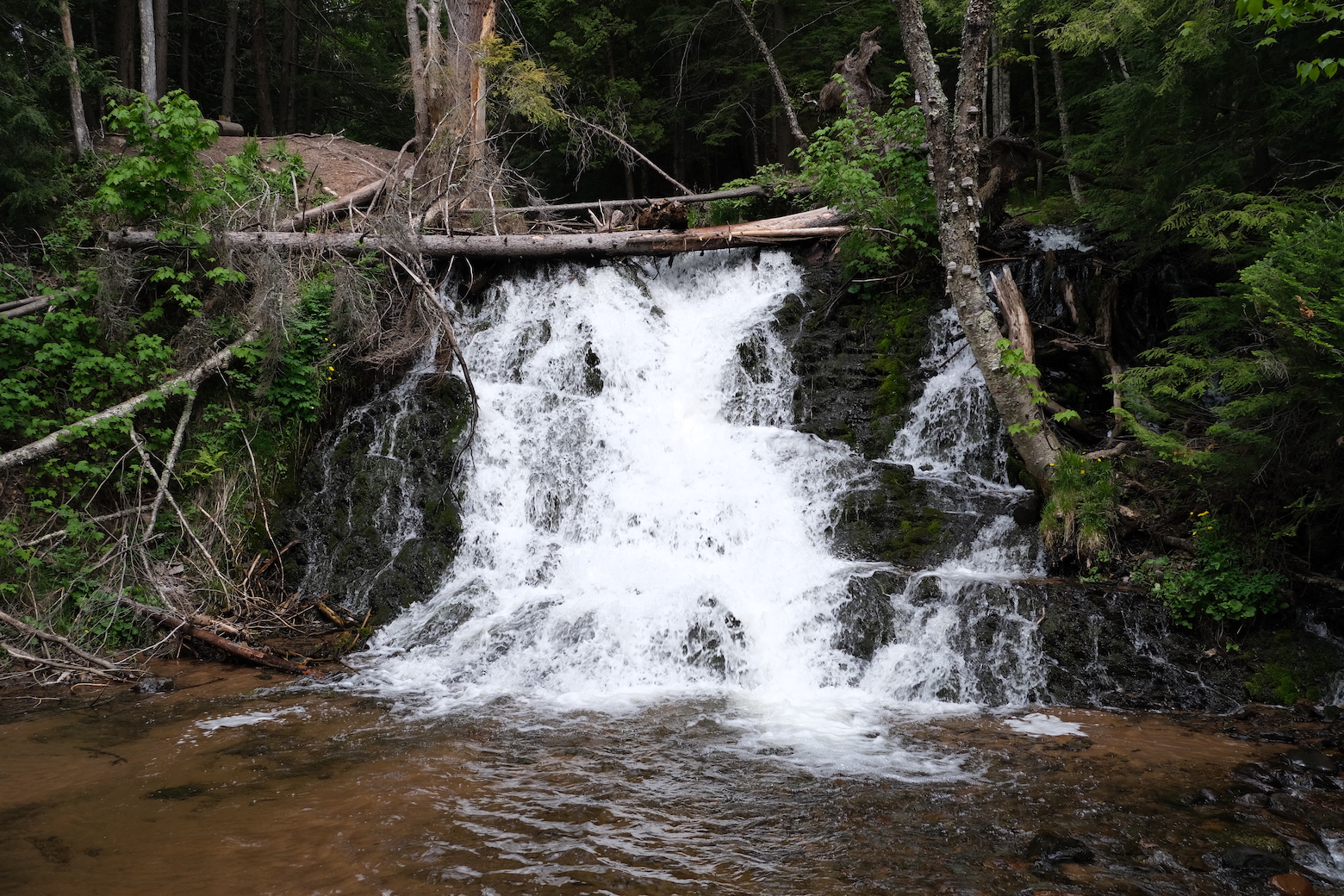 Morgan Falls