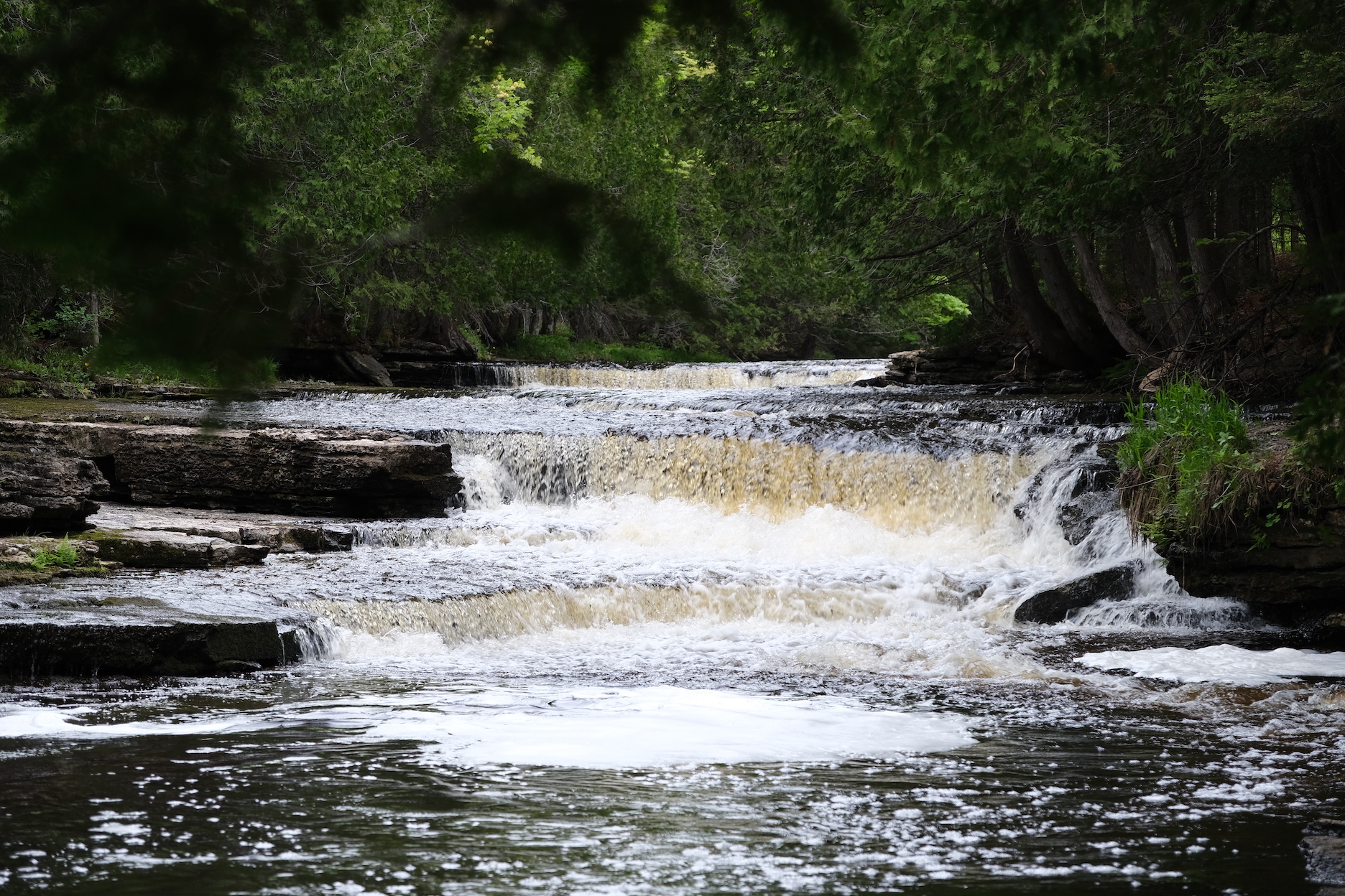 Whitefish falls