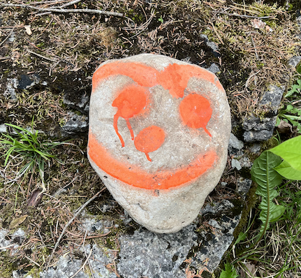 Spray painted rock at Whitefish Falls trailhead