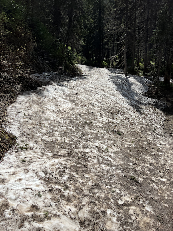 Snow on trail to Grinnell Lake