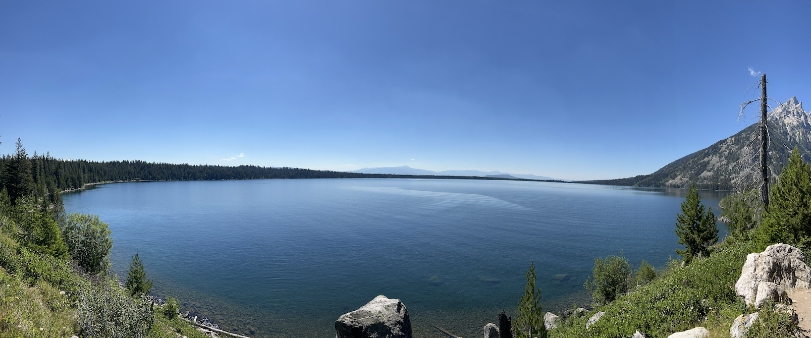 View from Jenny Lake Loop Trail