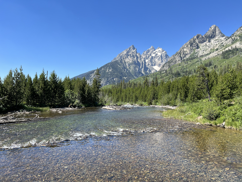 View from Jenny Lake Loop Trail
