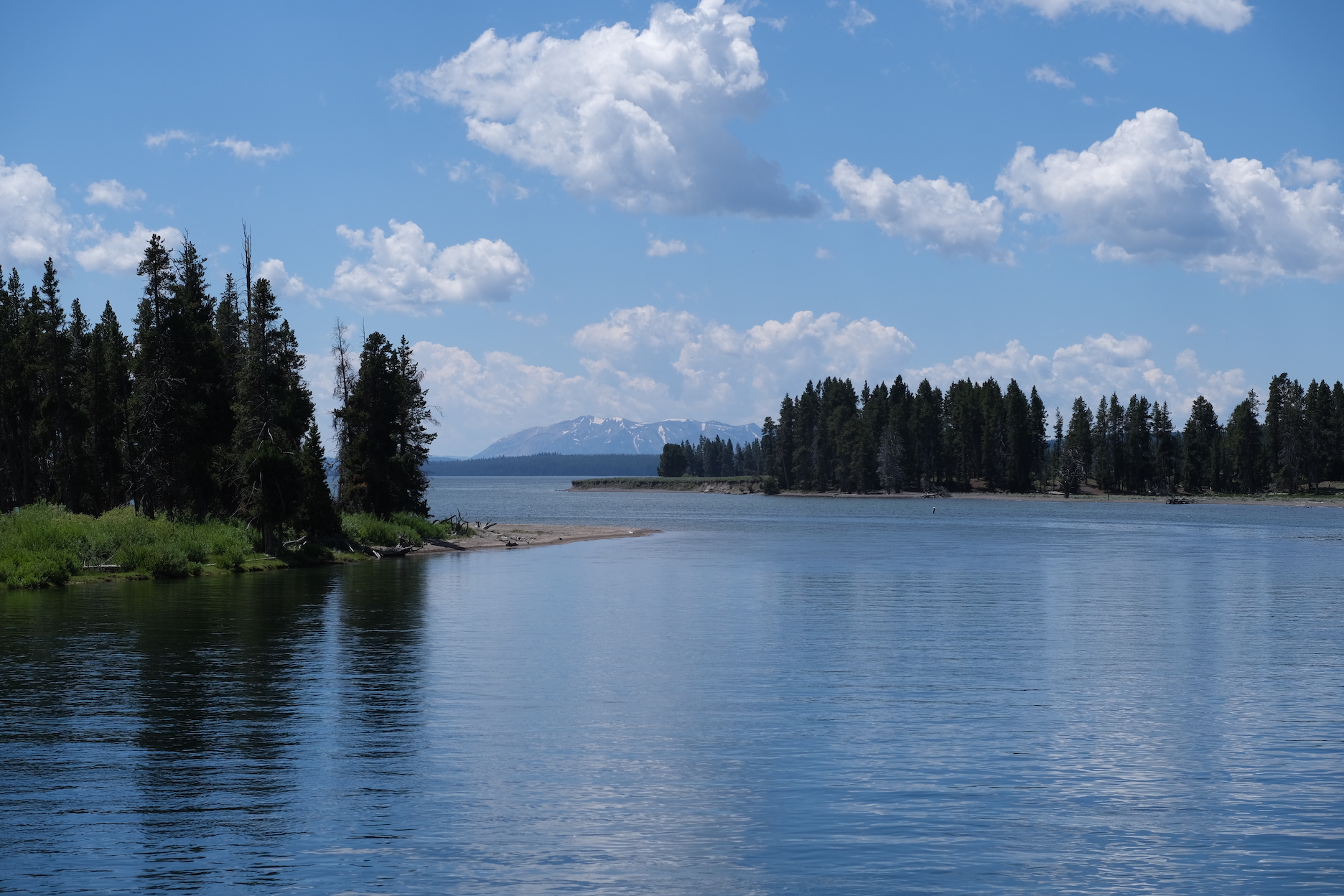 View from Fishing Bridge