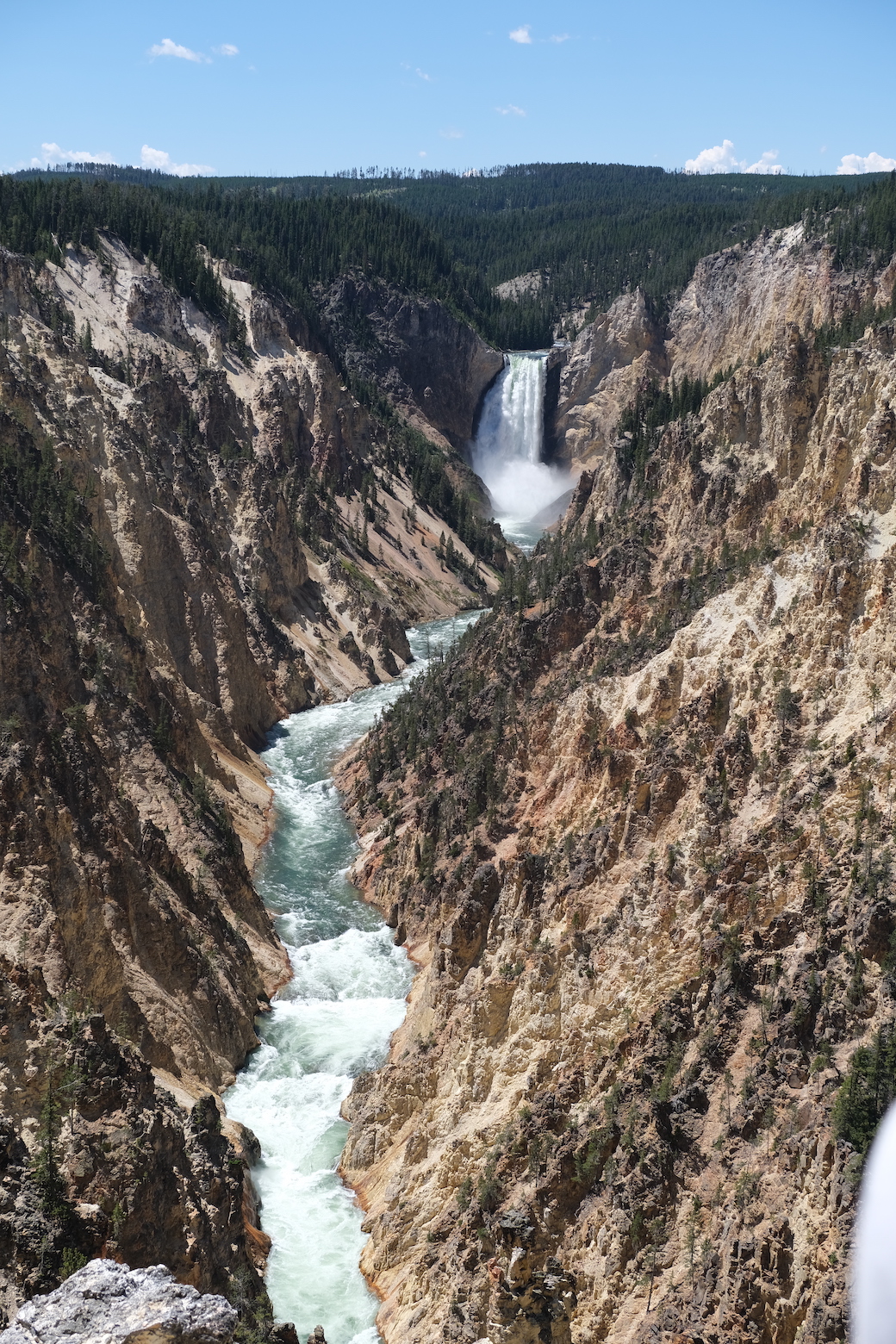 Lower Falls of the Yellowstone River from Artist Point
