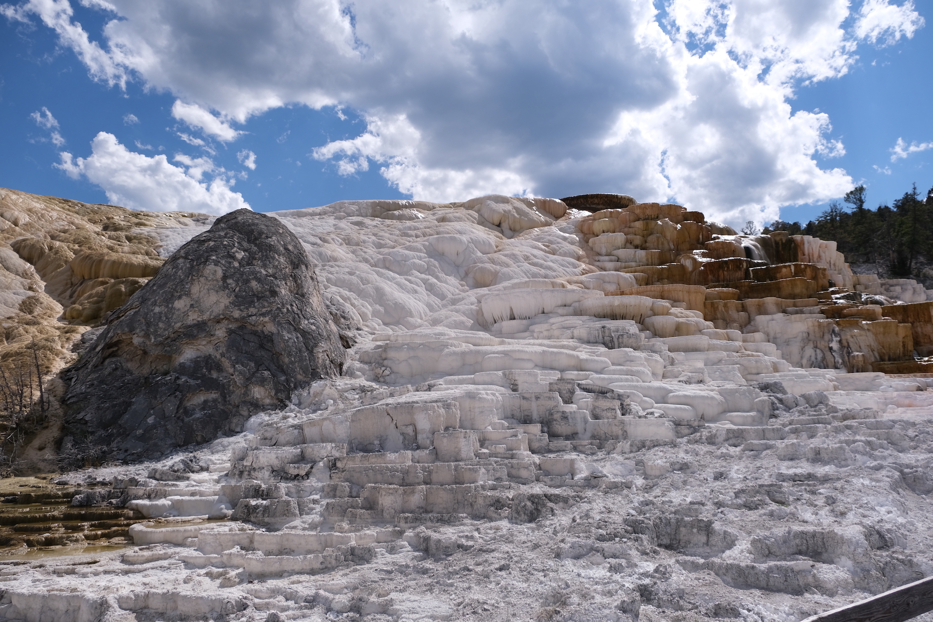 Mammoth Hot Springs