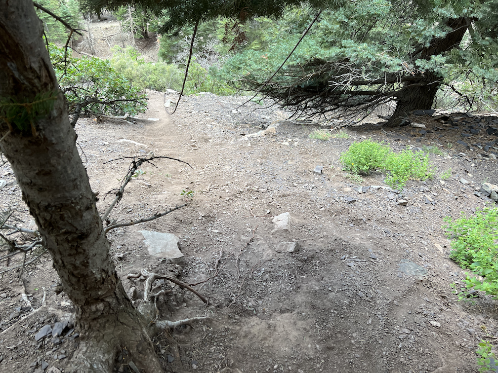 Ouray Hiking Loop