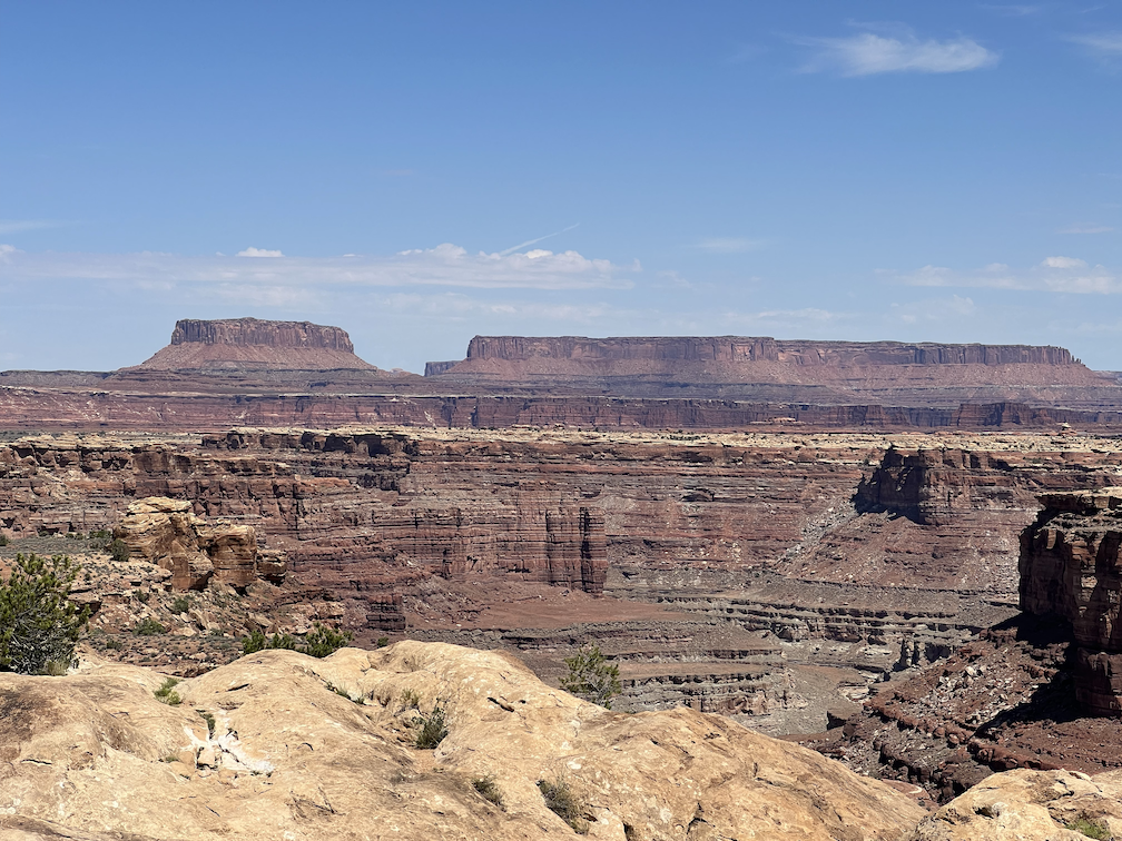 Needles District