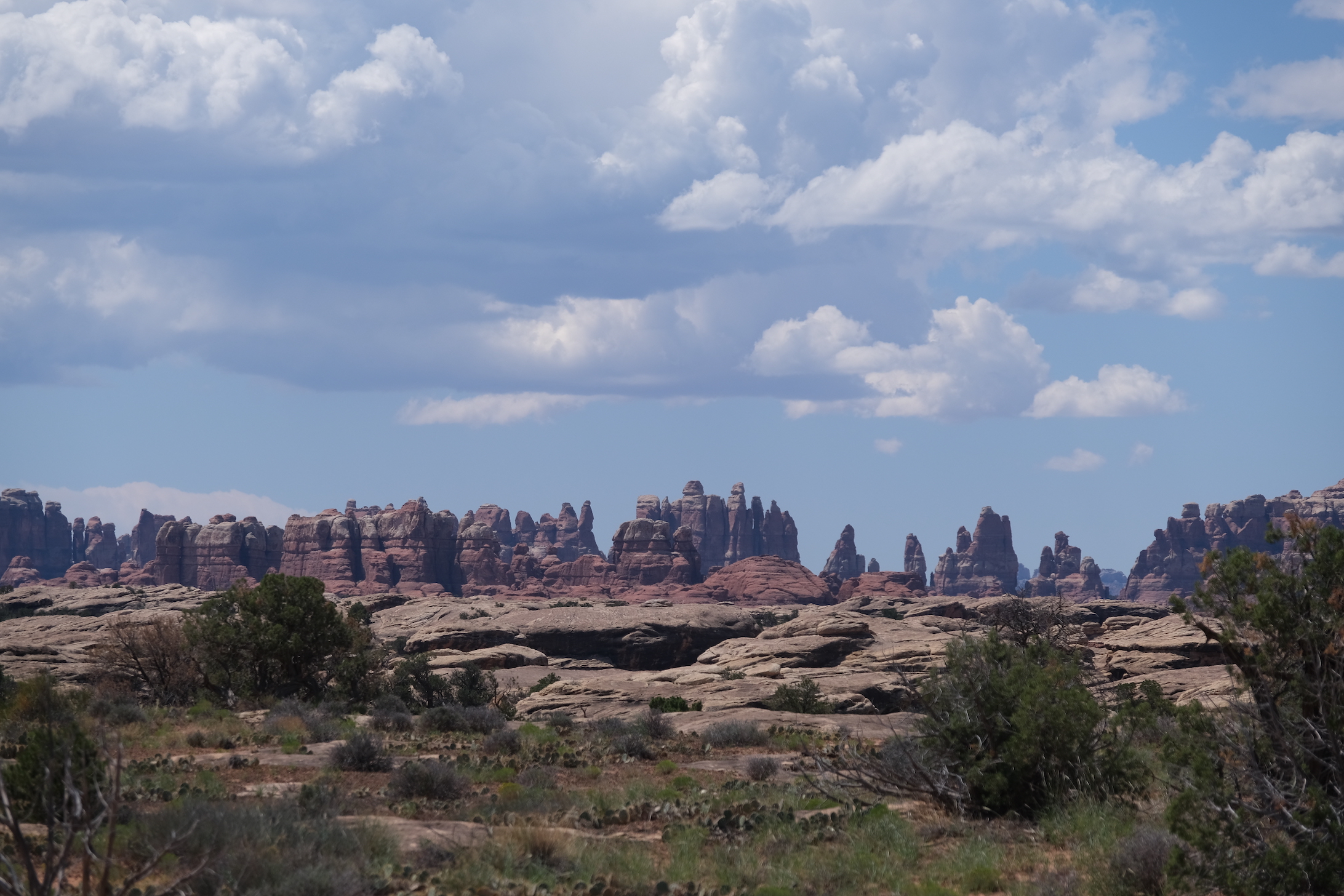 Arches Needles