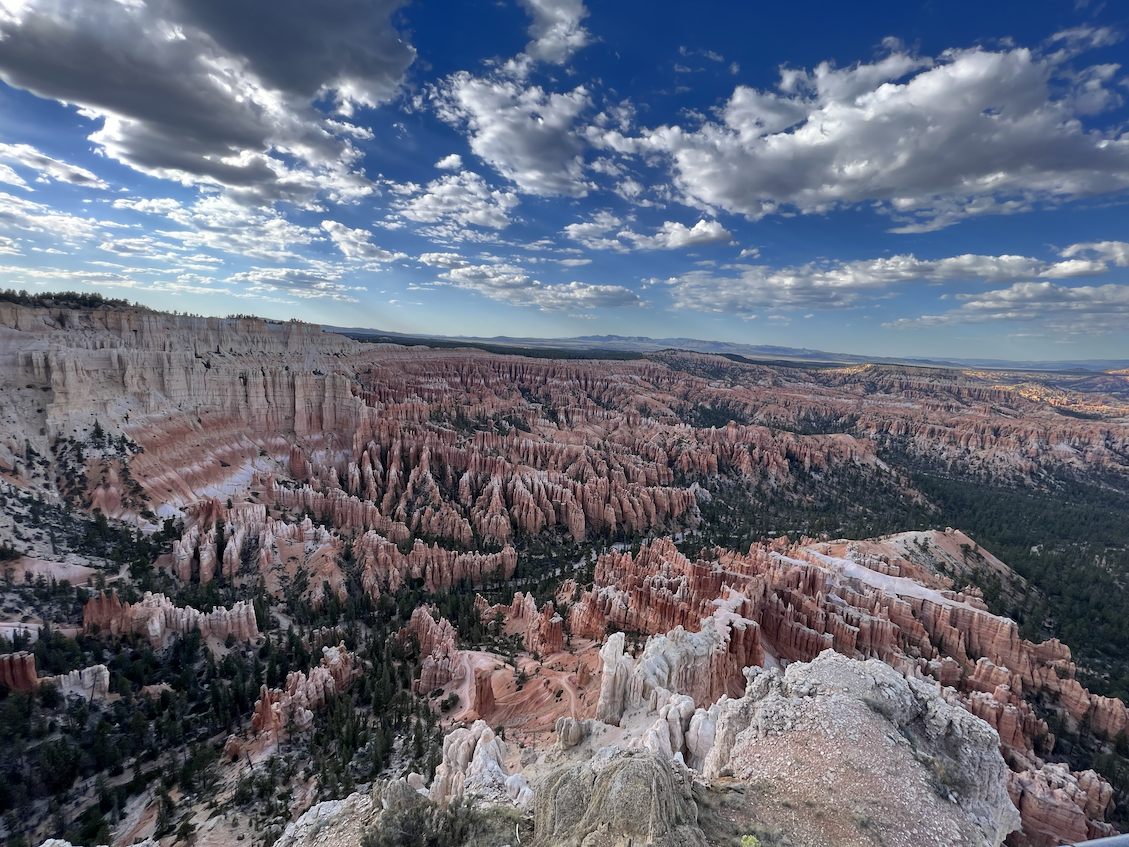 Bryce Point looking out into Bryce Canyon