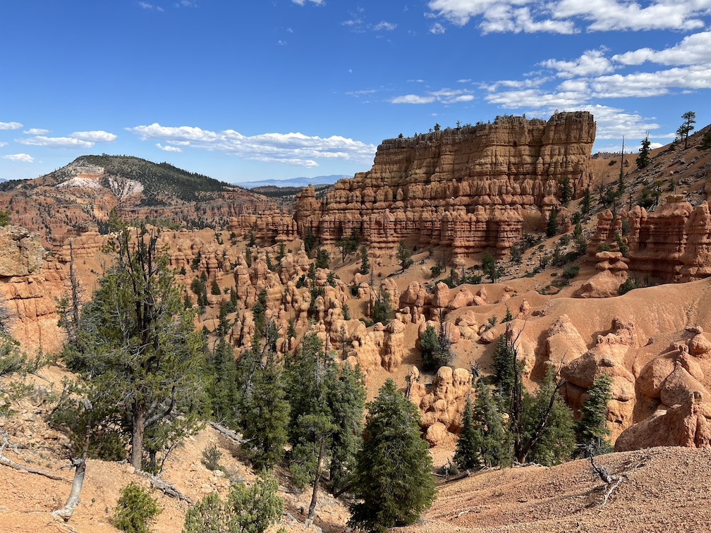 Red Canyon