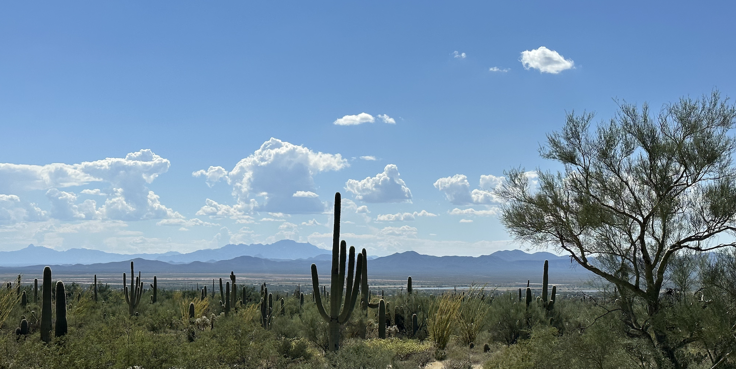 Saguaro National Park