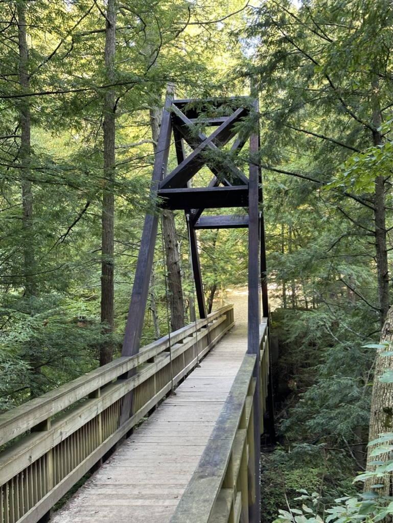 A frame bridge crossing the gorge