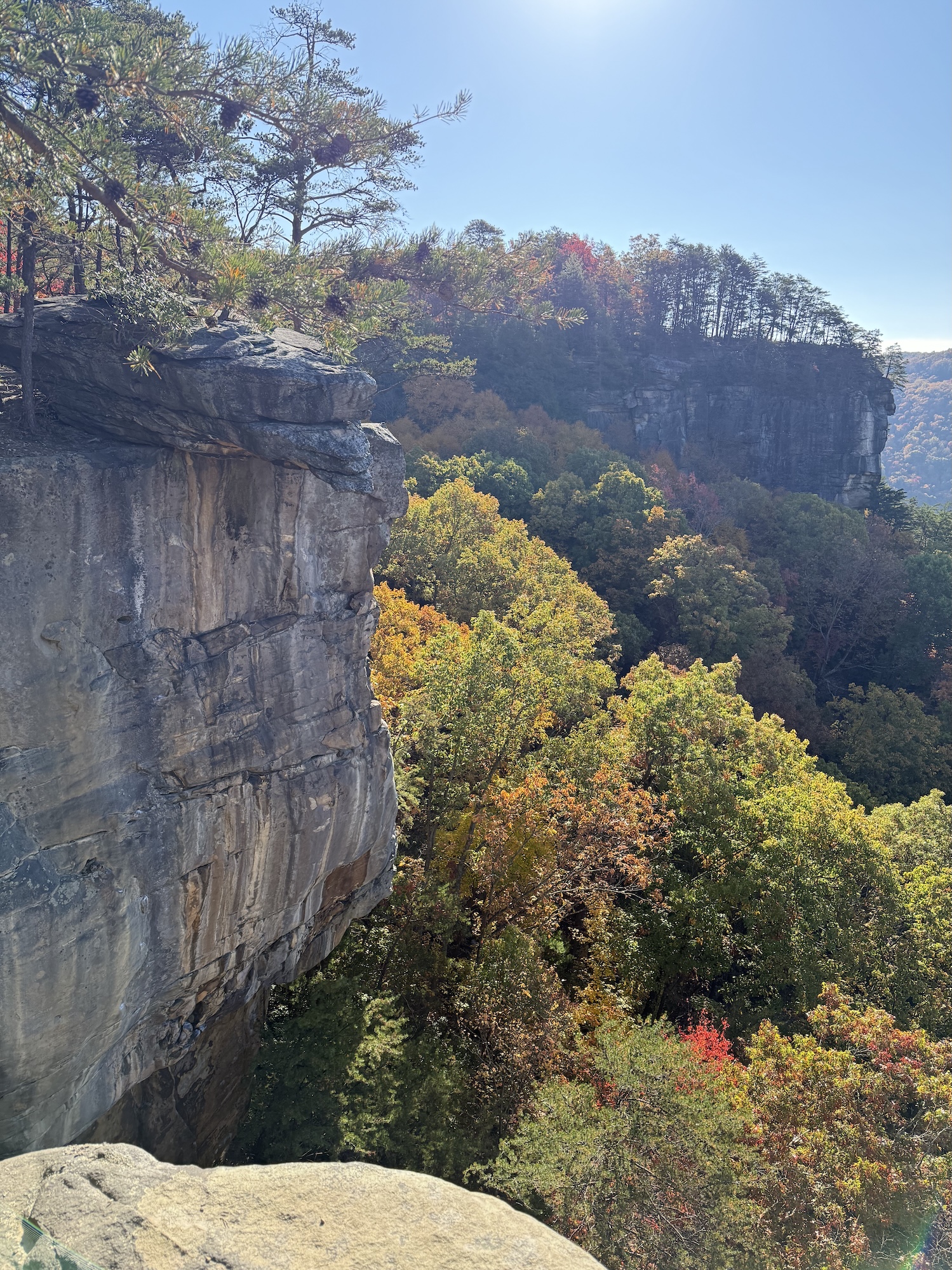 The sheer rock face in this part of the gorge