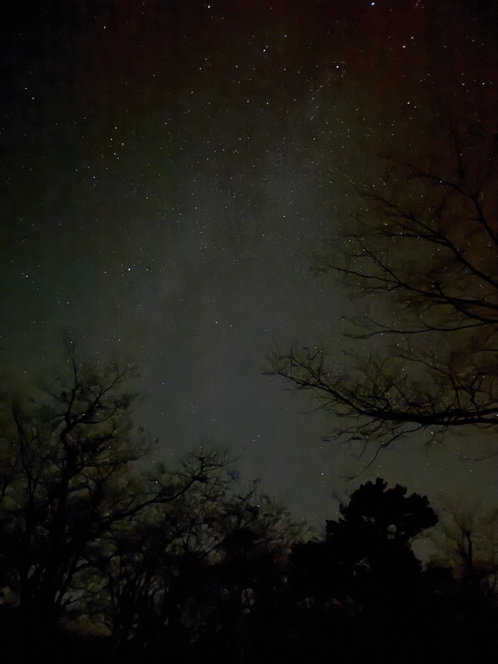 Stars in the night sky from the campground